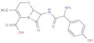Cefadroxil Monohydrate (CFD), 95%