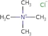 Tetramethylammonium Chloride pure, 98%