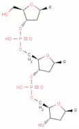 Deoxyribonucleic Acid Sodium Salt (DNA Sodium Salt) ex. Salmon Milt