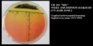 Vogel and Johnson Agar Base (USP, IP Basis)