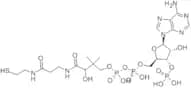 Coenzyme A Free Acid extrapure, 90%