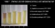 Fluid Thioglycollate Medium  (USP, IP Basis)