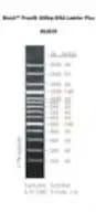 ProxiB 100bp DNA Ladder Plus