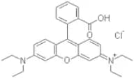 Rhodamine B