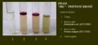 Tryptone Broth (Tryptone Water)
