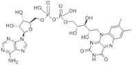 Flavin Adenine Dinucleotide Sodium Salt Hydrate (FAD Hydrate) extrapure, 95%