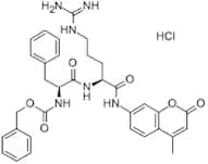 Z-Phenylalanylarginine 7-Amido-4-Methylcoumarin Hydrochloride Salt extrapure, 99%