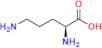 Arginine EP Impurity C
