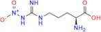 N'-Nitro-L-Arginine