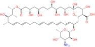Amphotericin B EP Impurity A