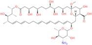 Amphotericin B EP Impurity B