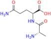 L-Alanyl-L-Glutamine