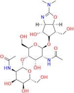 Allosamidin