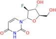 Azvudine Impurity 5