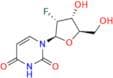 Azvudine Impurity 1