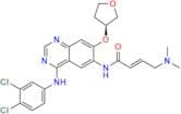 Afatinib Impurity E