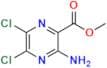 Amiloride Impurity 3
