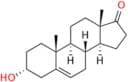Dehydro Androsterone