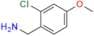 Avanafil Impurity 33