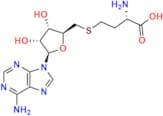 S-Adenosyl-L-Homocysteine