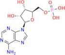 5\'-Adenylic Acid