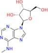 N6-Methyladenosine