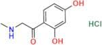 Adrenalin Impurity 5