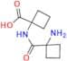 Apalutamide Impurity 49