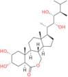 Epibrassinolide