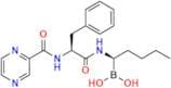 Desisobutyl-n-butyl Bortezomib