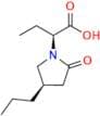 Brivaracetam Acid