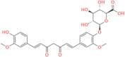 Curcumin Glucuronide