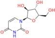 Cytarabine EP Impurity A