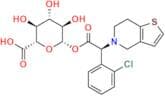 Clopidogrel Acyl-β-D-Glucuronide