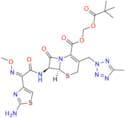 Cefteram Pivoxil