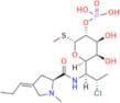 Clindamycin Phosphate EP Impurity J