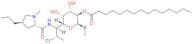 Clindamycin Pentadecanoate