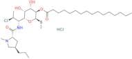 Clindamycin Palmitate Hydrochloride