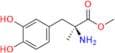 carbidopa EP impurity B