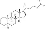 5α-Cholestane
