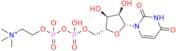 Uridine Diphosphate Choline