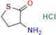 DL-Homocysteinethiolactone