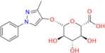 Edaravone Glucuronide