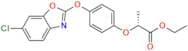 Fenoxaprop-P-ethyl R Isomer