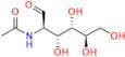 N-Acetyl Glucosamine