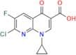 Naphthyridine Carboxylic Acid Analog