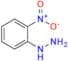 2-Nitrophenyl Hydrazine