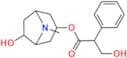 Anisodamine