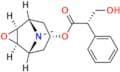 Hyoscine Butylbromide EP Impurity A