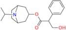 Ipratropium EP Impurity E